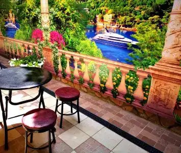 Пансионат Орхидея - 162