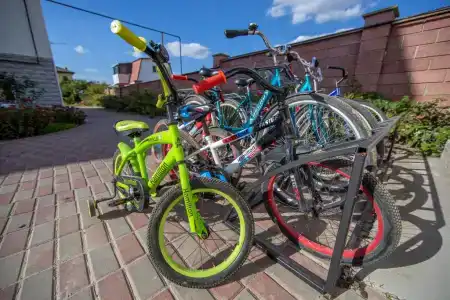 Светлана - 11