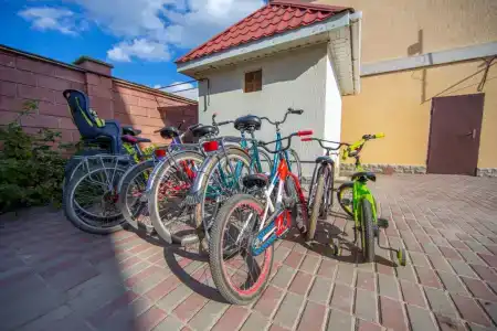 Светлана - 12