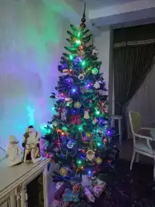 Бристоль - 7