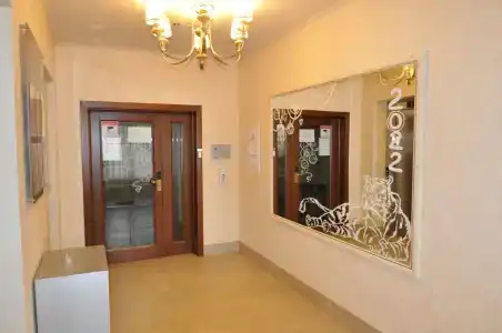 Бристоль - 18