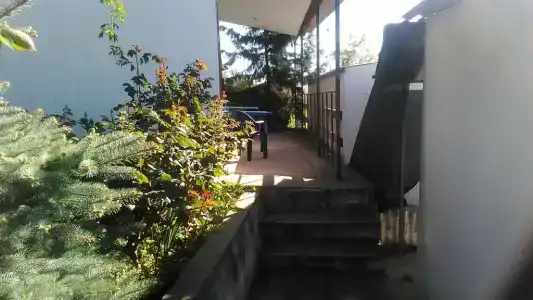 Фокс - 18