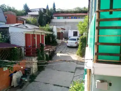Фокс - 6