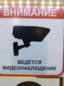Норка - 11