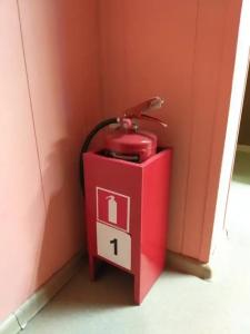 Норка - 10