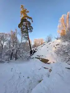 Дом Туриста - Саблино - 20