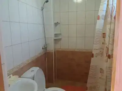 Ледис - 12