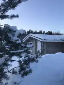 Вальд парк - 2
