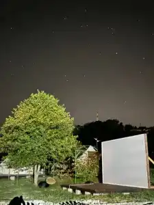 Сад чудес - 20