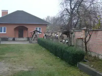 Мишель - 1