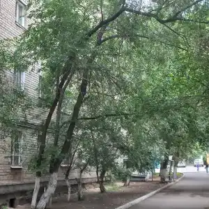 Счастливая квартира на Журавлева - 11