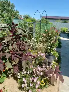 Гостевой дом на Энгельса 15 - 7