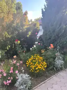 Вилла Роз - 14