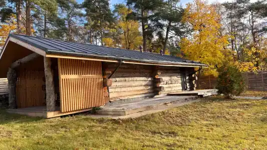 Эко дом из окаменевшей сосны-кело - 25