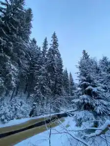 Йокихутор - 25