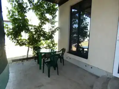 Vinograd - 7