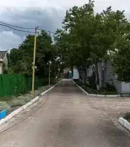 Платан - 1