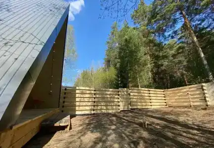 в лесу - 11