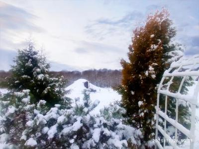 Зеленые Холмы - 33
