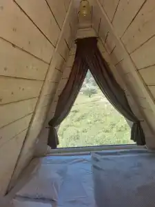 Белая Сова - 12