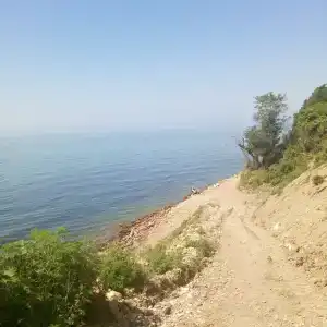 Лесная сказка - 16