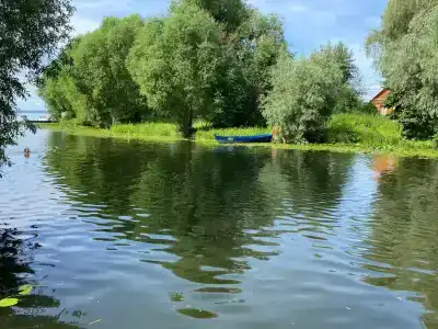 Гостевые дома Залесье! - 24