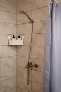 Барсятос - 41