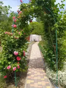 Дом на Пляжной 12 - 0