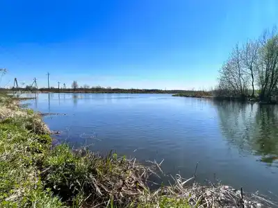 Агроусадьба Самуэлево - 37