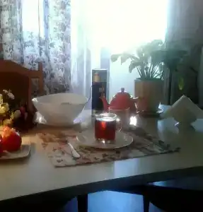 Apartment on Pritytskogo - 1