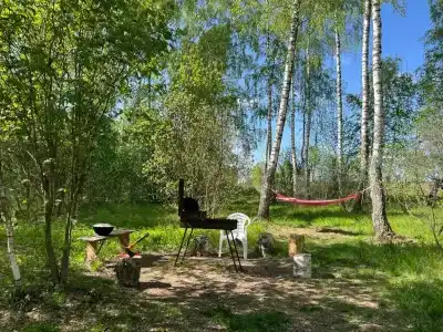 Шале в лесу в Подмосковье - 66