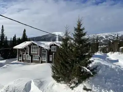Усадьба в лесу с видом на горы - 30