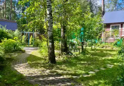 Дом в сосновом бору с гортензиями - 25