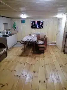 Гостевой домик в лесочке - 1