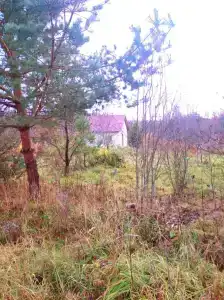 Уютный гостевой дом в поместье Большое небо в экопоселении - 8