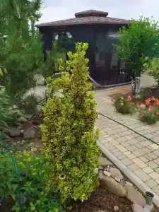 Повесол - 130