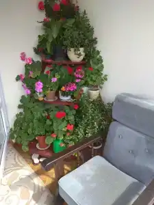 Дом в Белорусской Швейцарии - 18