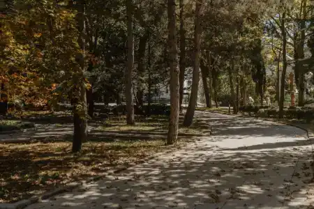 АМАКС Курорт Орбита - 3