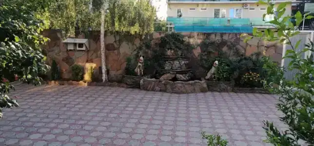 Белая Березка - 6