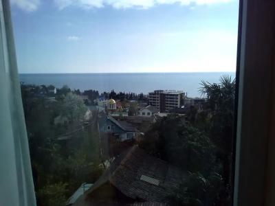 Пальма - 16