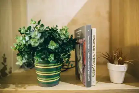 НЕВСКИЙ, 95 City Room - 5