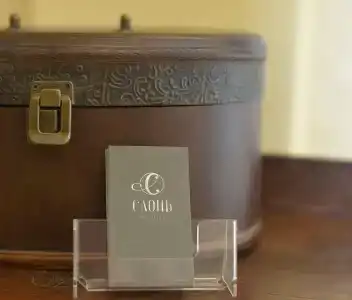 Слонъ - 10