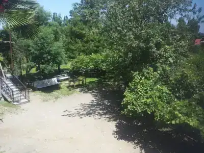Арчи - 28