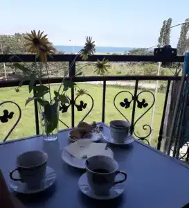 Арчи - 27