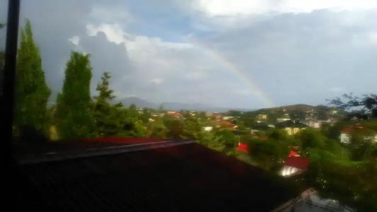 Фокс - 41