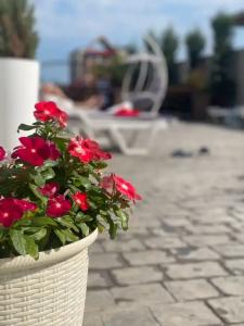 Panorama - 45