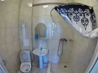 Горлица - 4