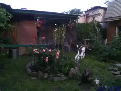 Домашний - 25