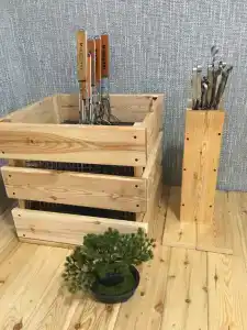Astu - 6