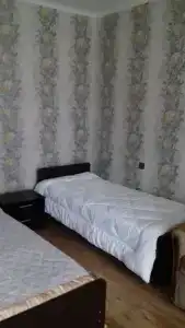 Молли - 50